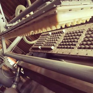 2000 Pcs Paper Egg Tray Making Machine With ABS Molds Easy Operation