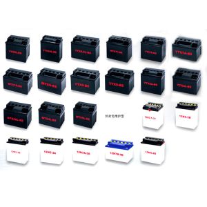 Valve Regulated Sealed Lead Acid Battery Container Mould Hot Runner Injection