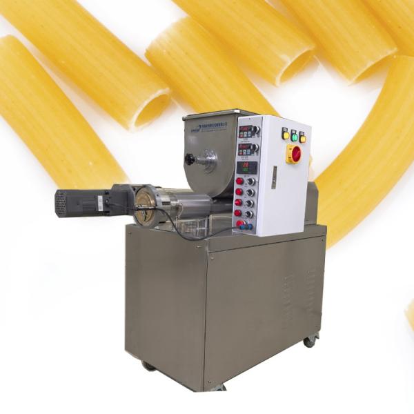 Buy Electricity Powered Macaroni Pasta Maker Machine for Small Scale Industrial in Italy at wholesale prices