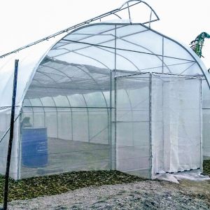 Thailand Multi Span Automatic Vent Greenhouse Electric Tropical Climate