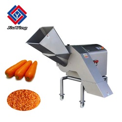 Commercial Vegetable Fruit Washing Machine 1.5T/h Vortex Type