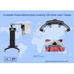 Vertical Luxmaster Laser Physiotherapy 405nm 10d Cold Red Light Machine