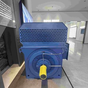 Water Resistant IP65 Three Phase Electric Motor