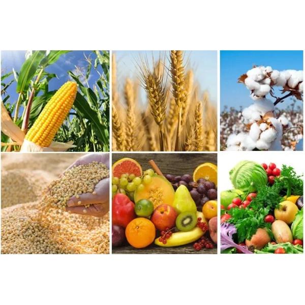 Agricultural Organic Water Soluble Fertilizer Humic Acid Liquid Npk