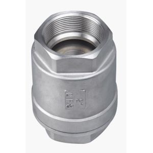 Lift 2PC Spring Vertical Check Valve Stainless Steel With Female Thread