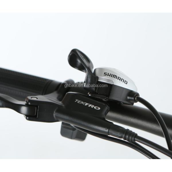 52V 1000W Bafang Motor 17AH Lithium 55KM/H Rear Hub Snow Fat Tire Mountain Electric Bike