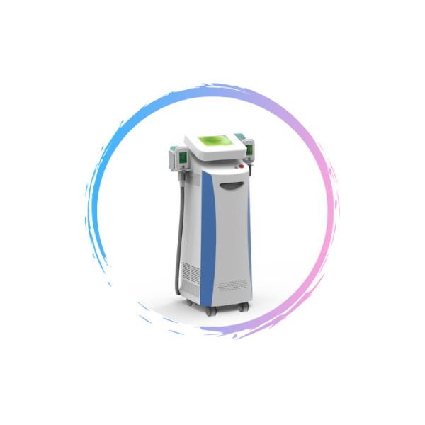 cryolipolysis fat freezing Weight Loss Cryolipolysis Slimming Machine