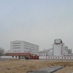 Sandwich Panel Prefabricated Metal Buildings