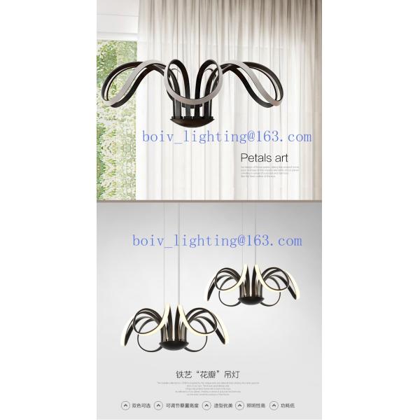 Modern LED Pendant Light With Lamp For Home Decoration Chome