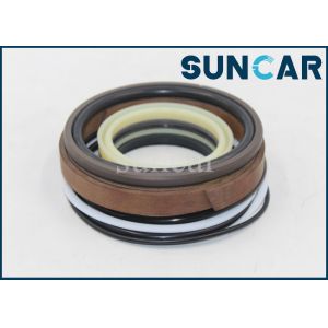 CX27B CX31B CX55BMSR Case PW01V00062R300 Swing/ Arm/ Bucket Cylinder Replacement