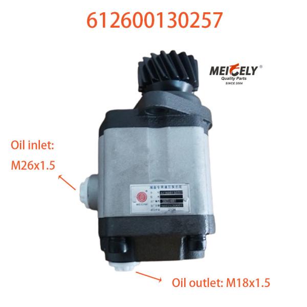 Buy 612600130257 Steering Pump Vane Pump For Beiben Weichai at wholesale prices