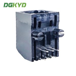 DGKYD57221166IWA1DB4 RJ11 Ethernet connector fully plastic without light 6P6C
