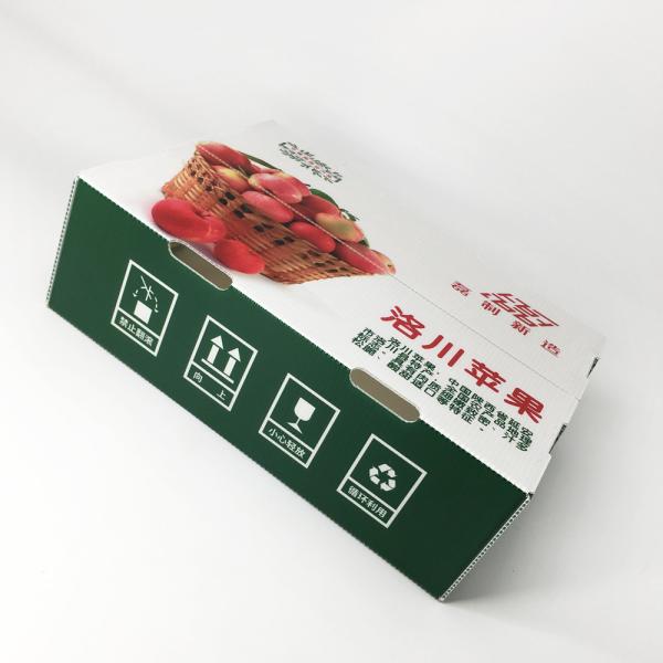 20Kgs Apple Plastic Corrugated Foldable Boxes Non Toxic Stackable
