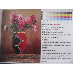 Eco Solvent Canvas of A-Starjet printer