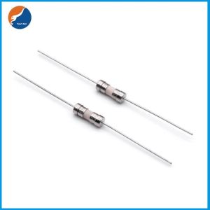 250V AC 3.6x10 Miniature Cartridge Fuse Time Delay Ceramic Tube Fuse