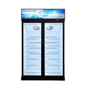 Double Layer Tempered Glass Door Display Commercial Upright Freezer