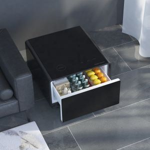 Stay Refreshed and Organized with this Modern Smart Coffee Table Refrigerator