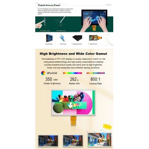 Polcd Resolution 1024X600 10.1 Inch Lcd Display EK79001 Tft Display Module 750