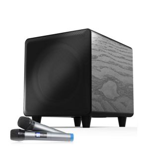 300 Watts Home Theater Speaker System Wireless Subwoofer For TV