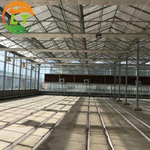 4m/8m Glass Covered Section Greenhouse for Ecological Restaurant Dining
