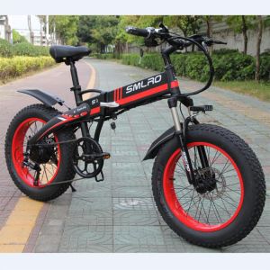SMLRO Folding Electric Bike 20 Inch Wheels 30km/H Max Speed 350W