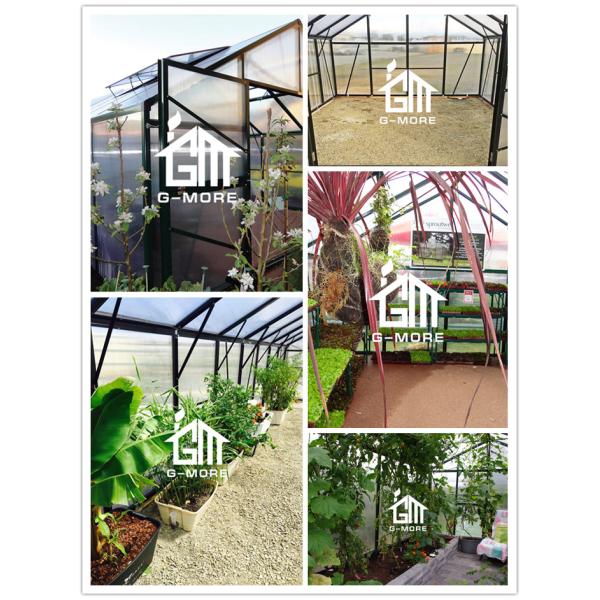 G-MORE Titan 4M width greenhouse internal.jpg