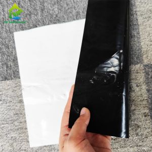 130 Micro Black And White Panda Film