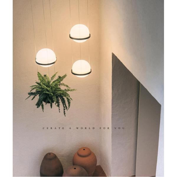 Plant Pendant Lights Modern Long Cord Plants Deco Chandelier Hanging Glass Ball Light(WH-GP-50)