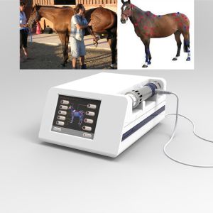 Veterinary Shockwave Therapy Machine For Racing Horse