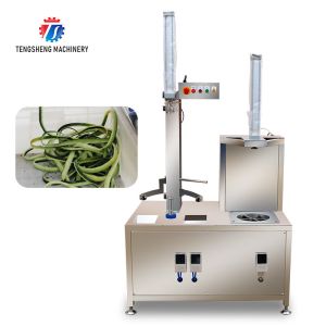 0.75KW 380V Multifunctional cantaloupe and wax gourd peeler Peeling and flapping