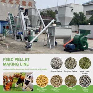 1-5 Ton/H Ring Die Pellet Cattle Feed Machine Pellet Making Machine For Cattle