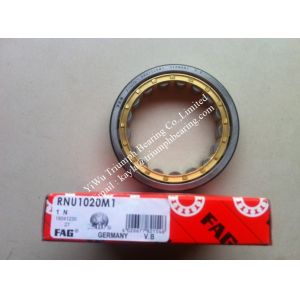 FAG Cylindrical Rolller Bearing RNU1020M1