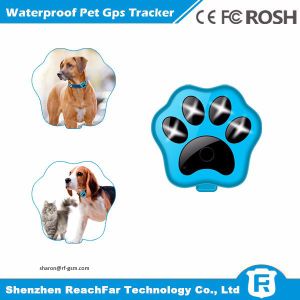 Portable cheap smallest real time gps pet tracker with one year battery and
