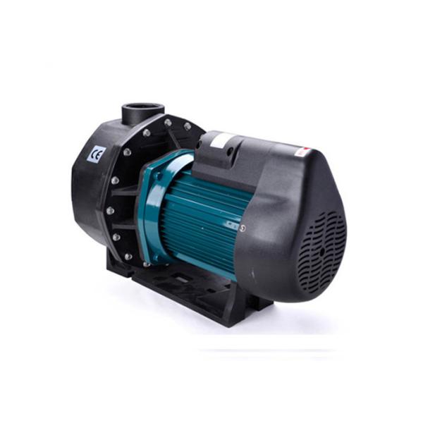 Buy Water Park Use Swimming Pool Water Pump With 100 Percent Pure Copper Motor at wholesale prices