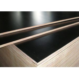 Poplar And Eucalyptus Core Film Faced Plywood For Office Building Construction