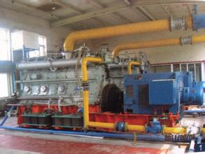 Biomass Gasification Fired Genset Power Plant 200KW - 1000KW Combined Heat Power Technology