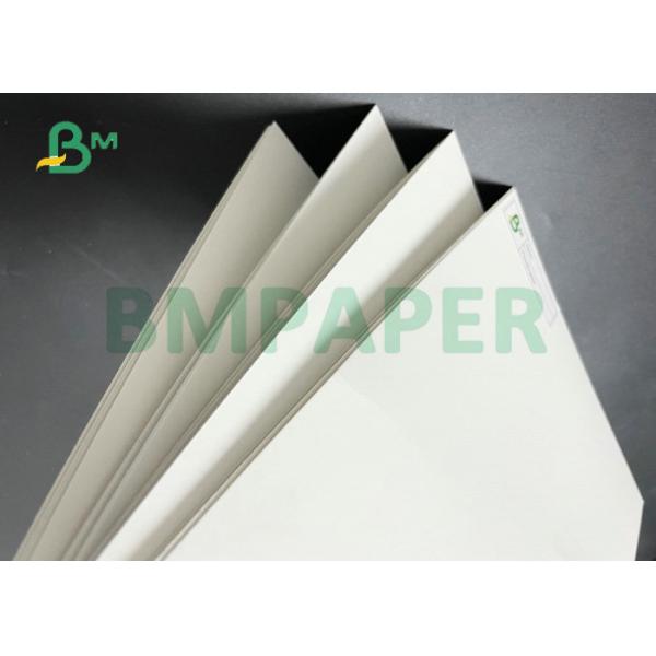 High Bulk 250gr 300gr 325gr Coated FBB White Back For Food Packaging