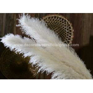 China Eco-Friendly Preserved Fresh Flowers Silk Pampas Grass Wedding Bouquet on sale