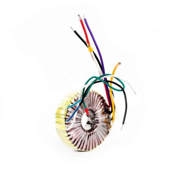 Electric Equipment Custom-Made Toroidal Type Transformer with Insulation Class F