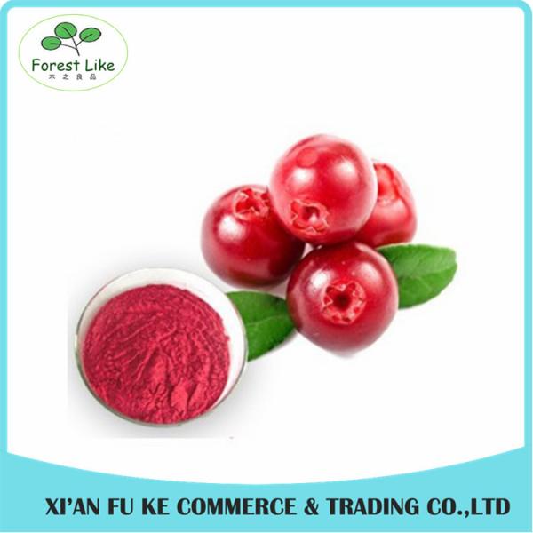 Buy Food Ingredients Fruit Extract 100% Natural Bilberry Extract Powder at wholesale prices