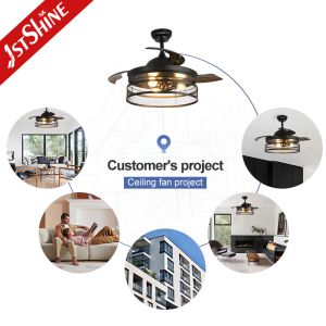 Wall Control 42 Inch Black Color PC Blades Dimmable Invisible Ceiling Fan with