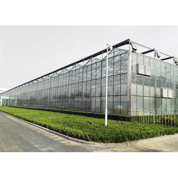 Buy Good Reliability Agricultural Glass Greenhouse 4mm / 5mm Glass Covering at wholesale prices