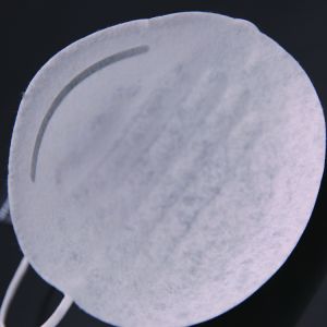 2 Layer N95 Face Mask , Anti Air Pollution Disposable Dust Mask 8100