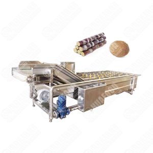 Oem/Odm Commercial Vegetable Washing Machine Industrial Foshan