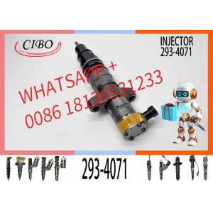 293-4071 Neutral and new Diesel Engine C7 C9 Fuel Injector for 387-9430 245-3517