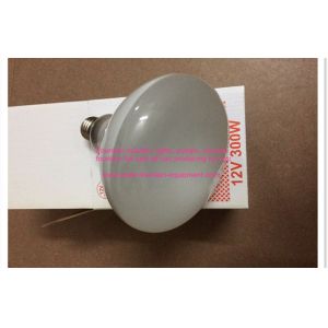 E27 Male Thread 12V 300W Halogen Bulb For Underwater Swimming Pool Lights Warm