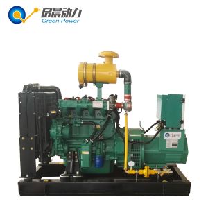Factory directly sale CNG natural gas generator 10KW