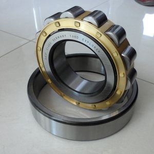 China OEM Cylindrical Roller Bearing 80 x 170 x 39mm N316E TVP2 Nylon Cage 6.7kg on sale