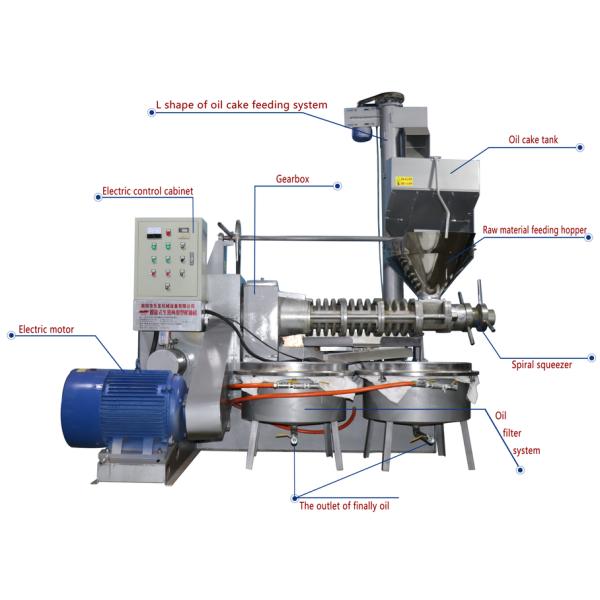 Simple operation large capacity oil presser with oil cake feeding system