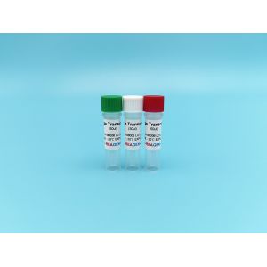 Reverse Transcriptase M-MLV RT Feline Pestivirus Antigen Rapid Test Kit